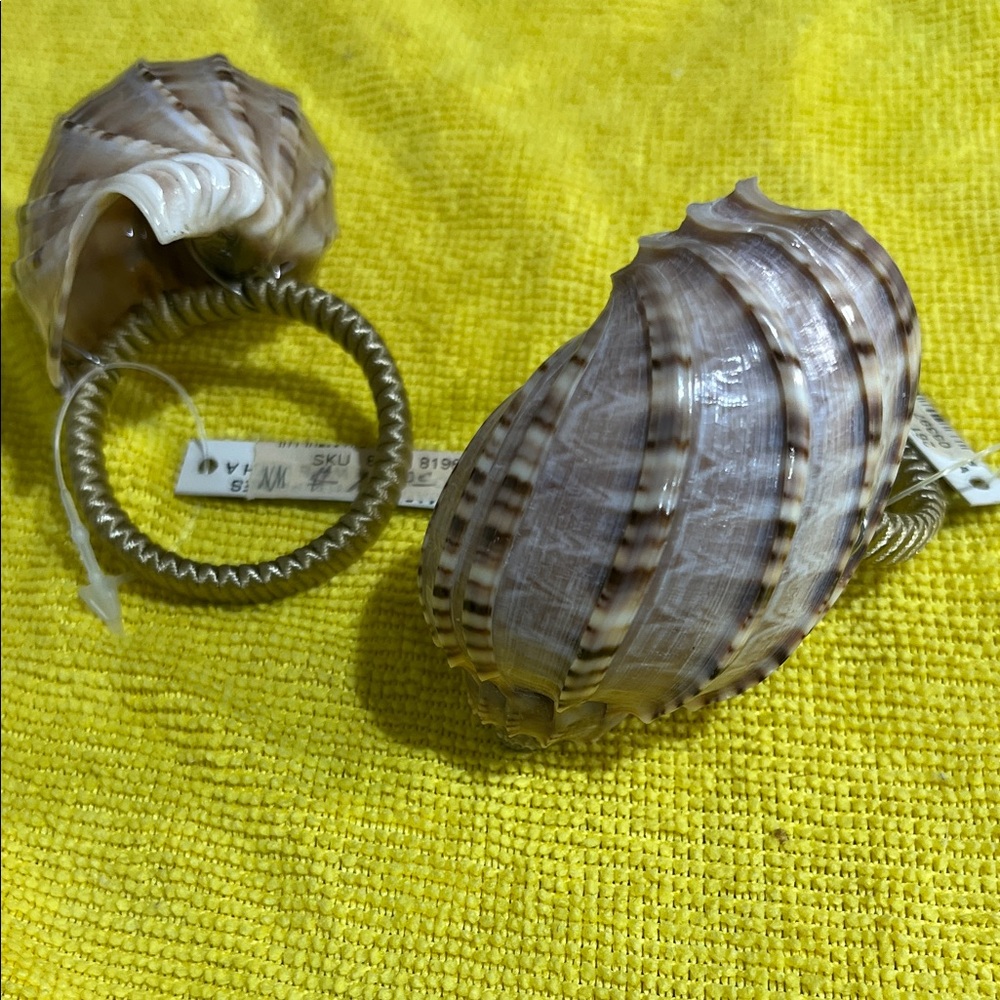 Shell napkin rings